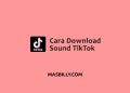 Cara Download Sound Tiktok